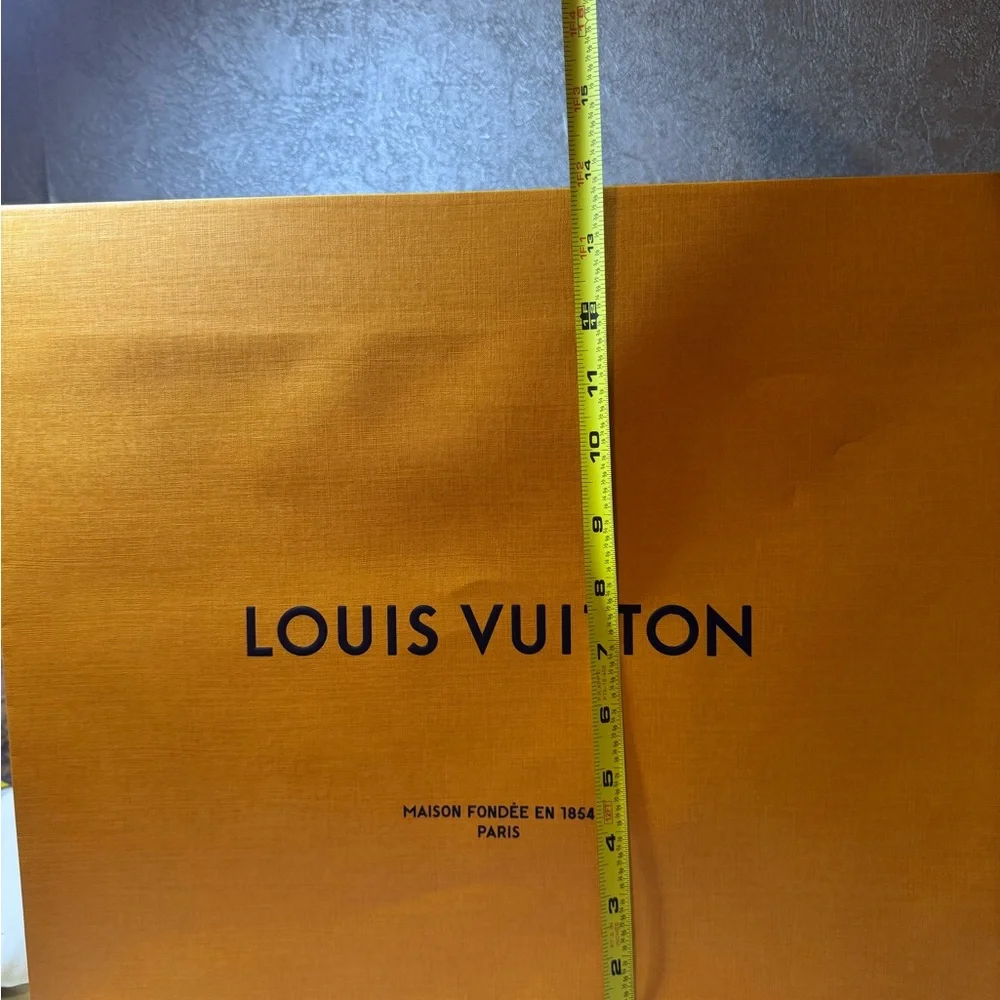 Louis Vuitton gift bag